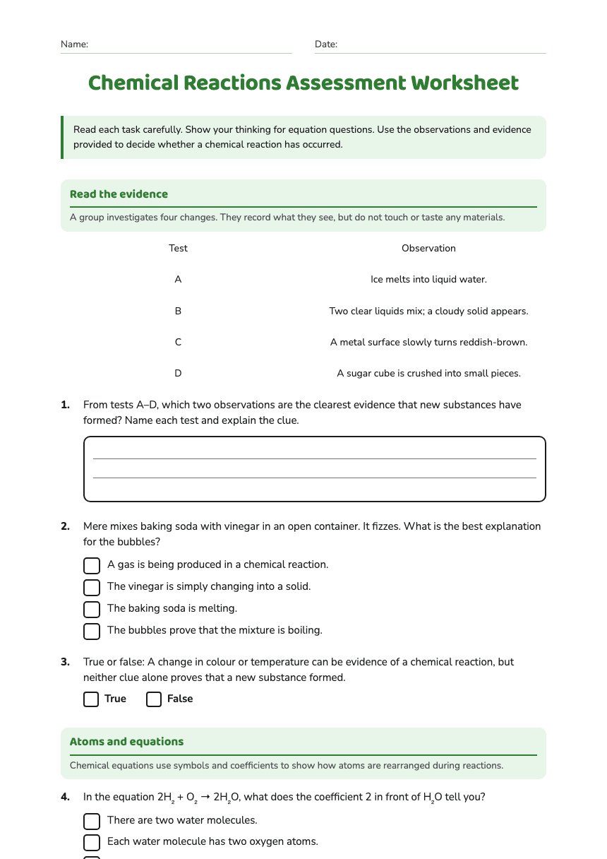 Chemical Reactions Assessment Worksheet worksheet preview