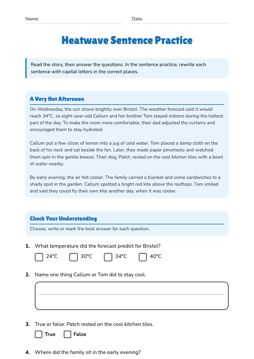 Heatwave Sentence Practice worksheet preview