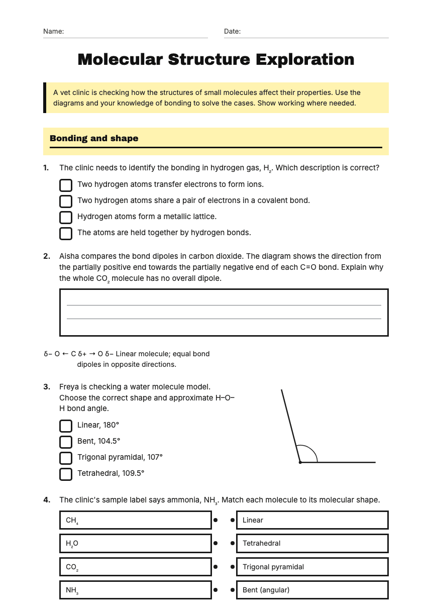 Molecular Structure Exploration worksheet preview