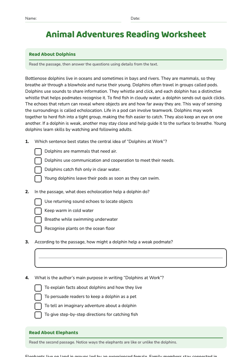 Animal Adventures Reading Worksheet worksheet preview