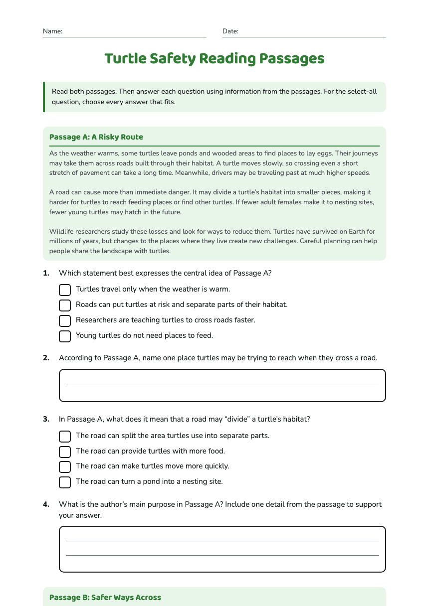 Turtle Safety Reading Passages worksheet preview