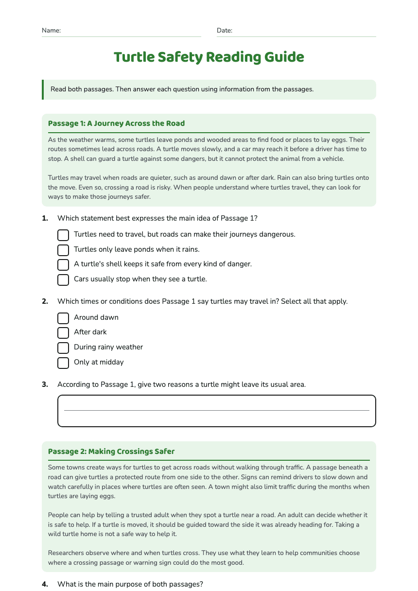 Turtle Safety Reading Guide worksheet preview