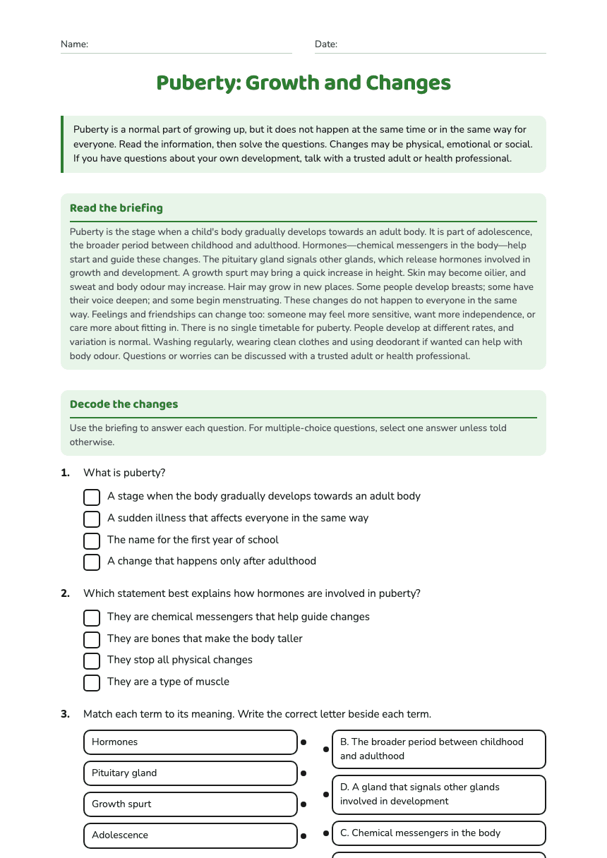 Puberty: Growth and Changes worksheet preview