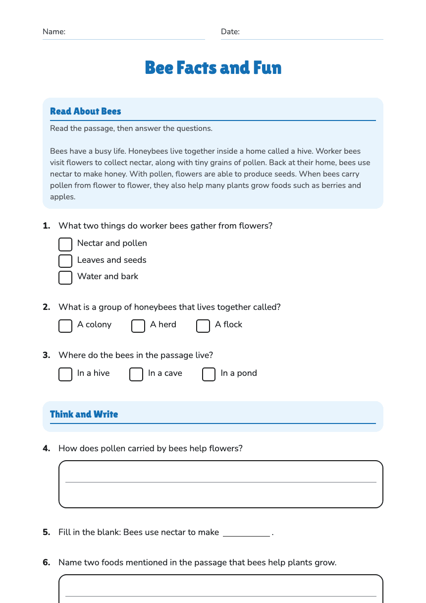 Bee Facts and Fun worksheet preview