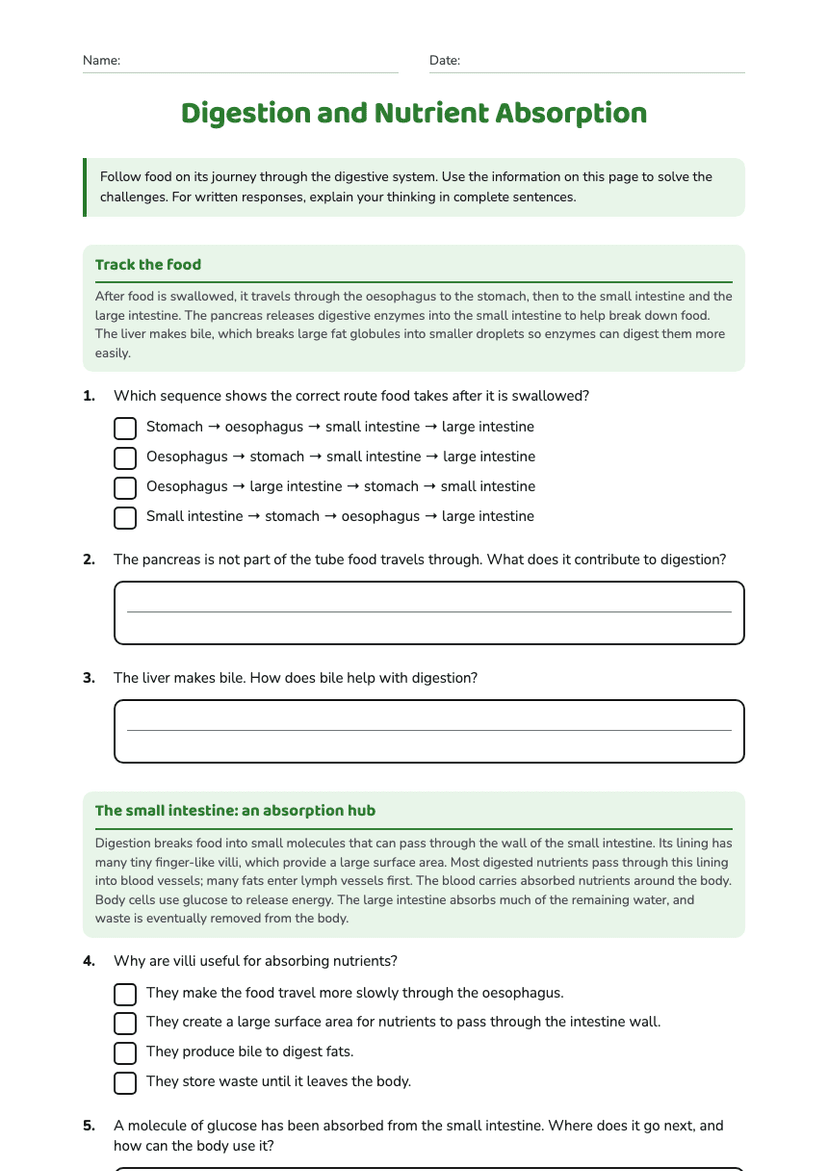 Digestion and Nutrient Absorption