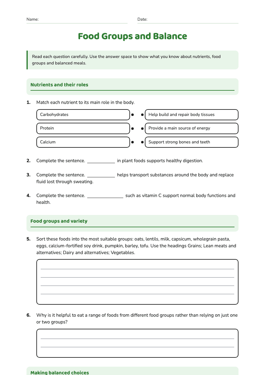 Food Groups and Balance worksheet preview