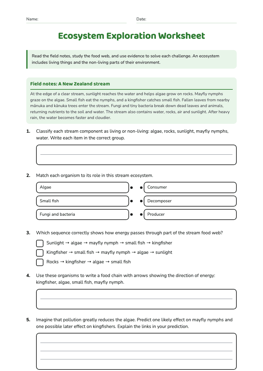 Ecosystem Exploration Worksheet worksheet preview