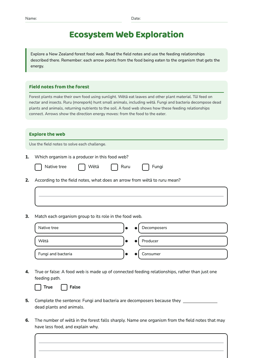 Ecosystem Web Exploration worksheet preview
