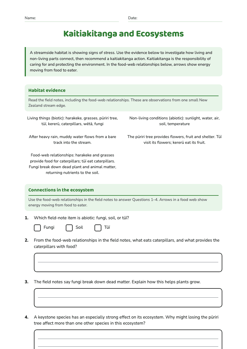 Kaitiakitanga and Ecosystems worksheet preview