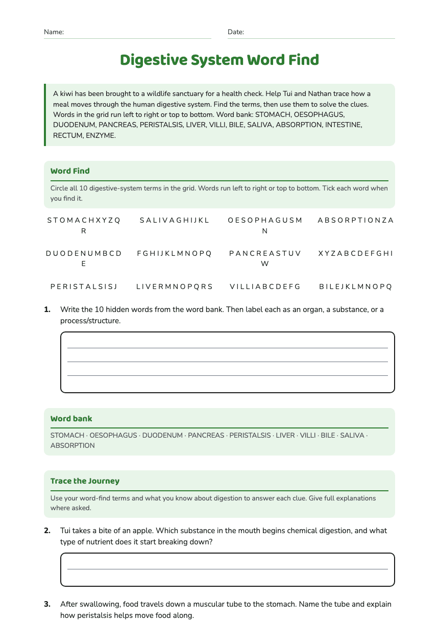 Digestive System Word Find worksheet preview