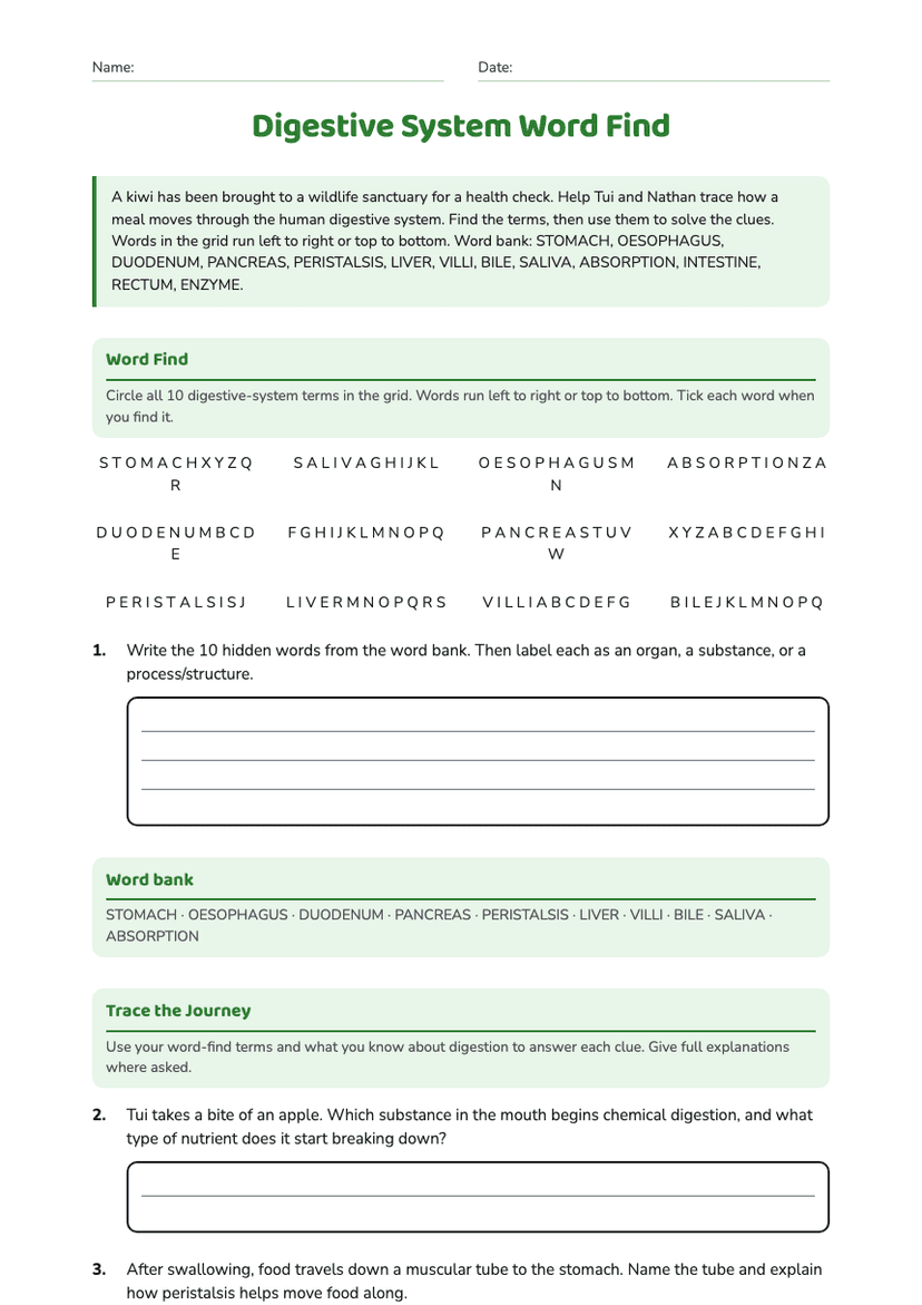 Digestive System Word Find