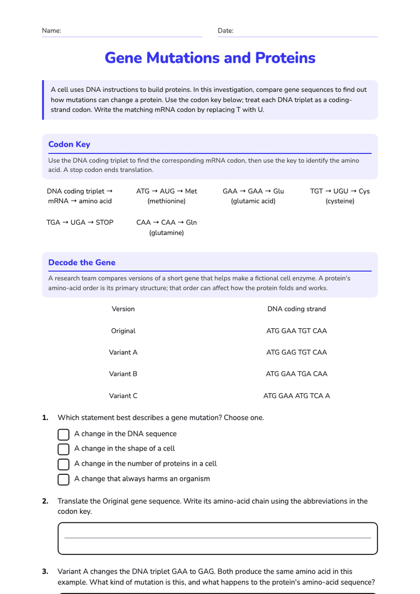 Gene Mutations and Proteins