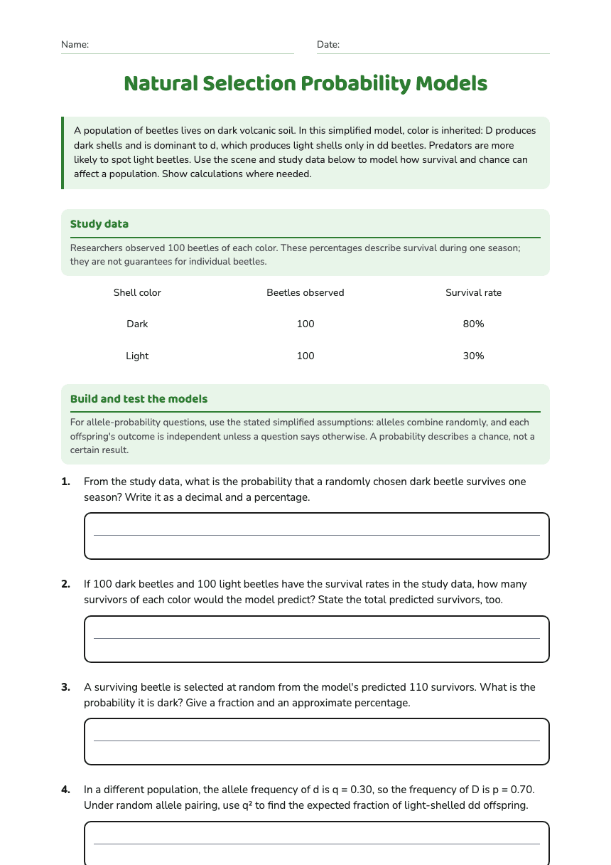 Natural Selection Probability Models worksheet preview