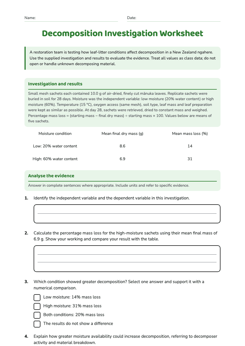 Decomposition Investigation Worksheet worksheet preview