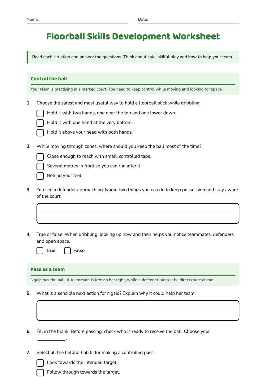 Floorball Skills Development Worksheet worksheet preview