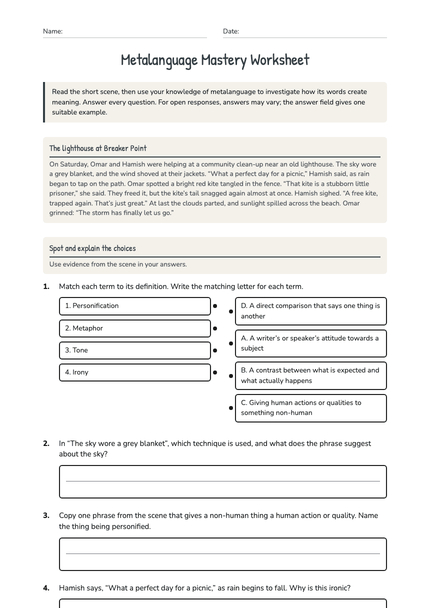 Metalanguage Mastery Worksheet worksheet preview