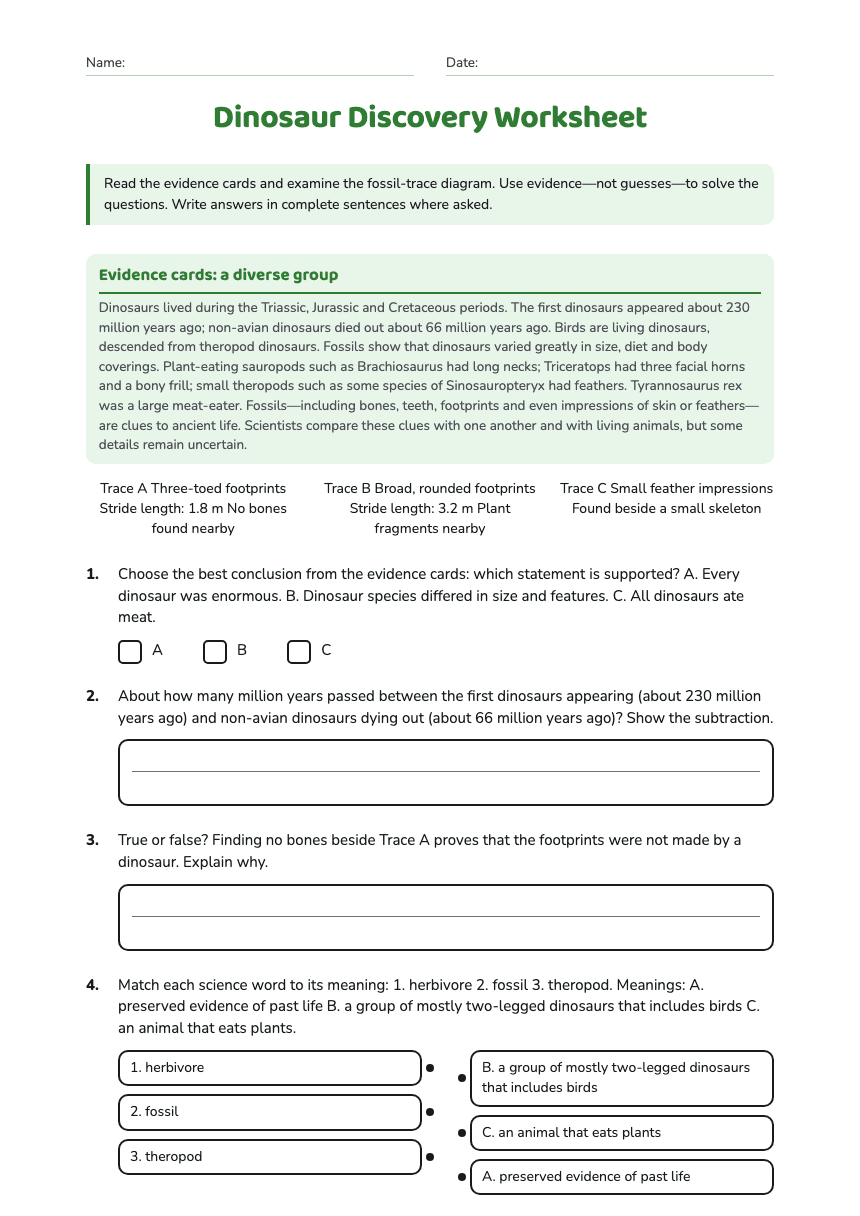 Dinosaur Discovery Worksheet worksheet preview