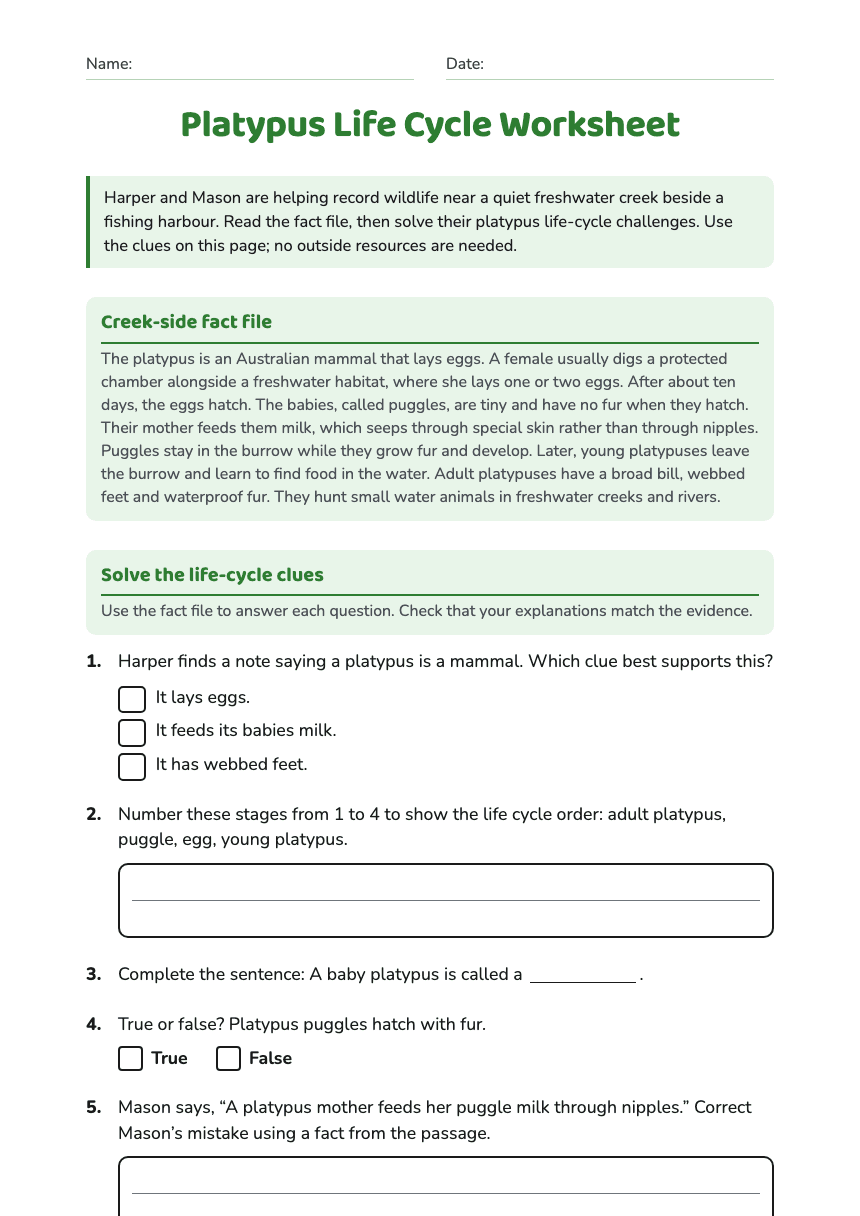 Platypus Life Cycle Worksheet worksheet preview