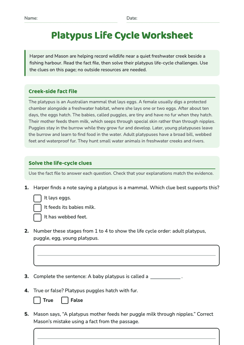 Platypus Life Cycle Worksheet