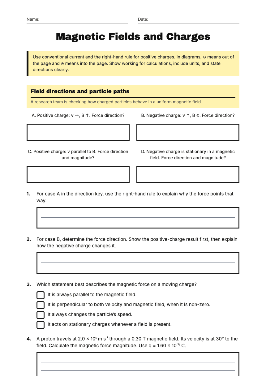 Magnetic Fields and Charges worksheet preview