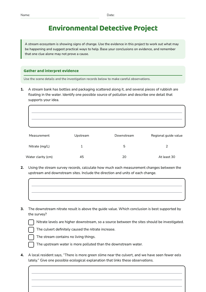 Environmental Detective Project worksheet preview