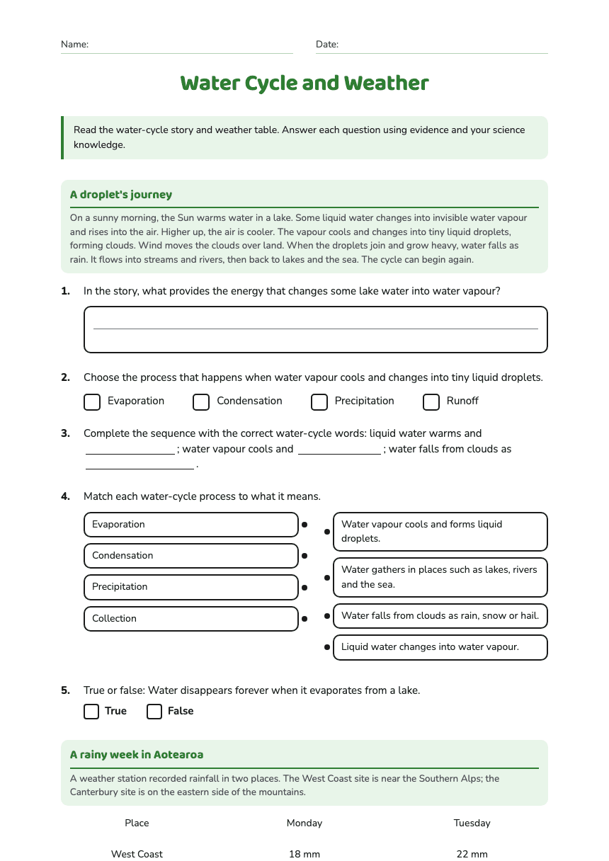 Water Cycle and Weather worksheet preview