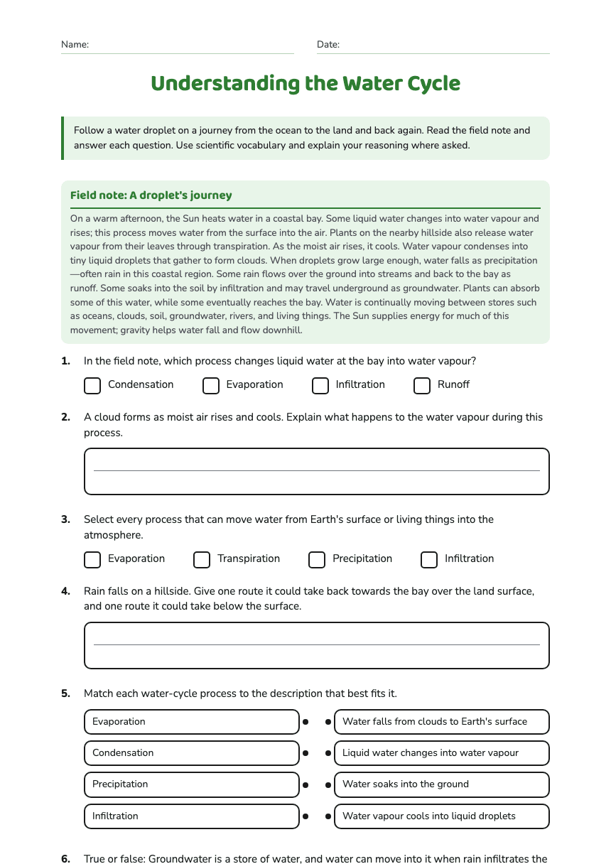 Understanding the Water Cycle worksheet preview