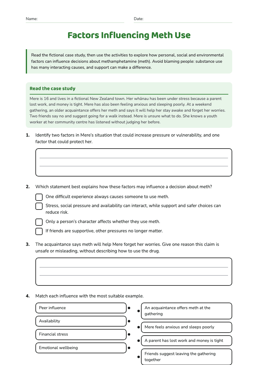 Factors Influencing Meth Use worksheet preview