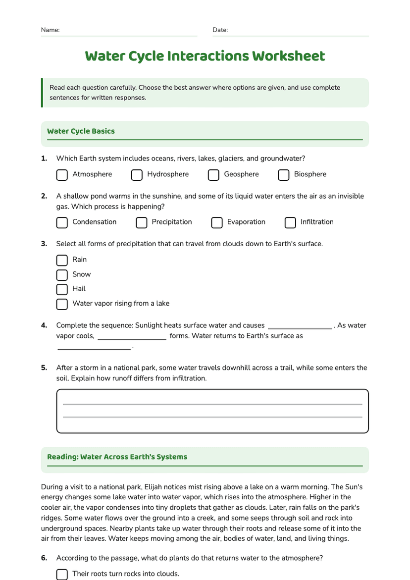 Water Cycle Interactions Worksheet