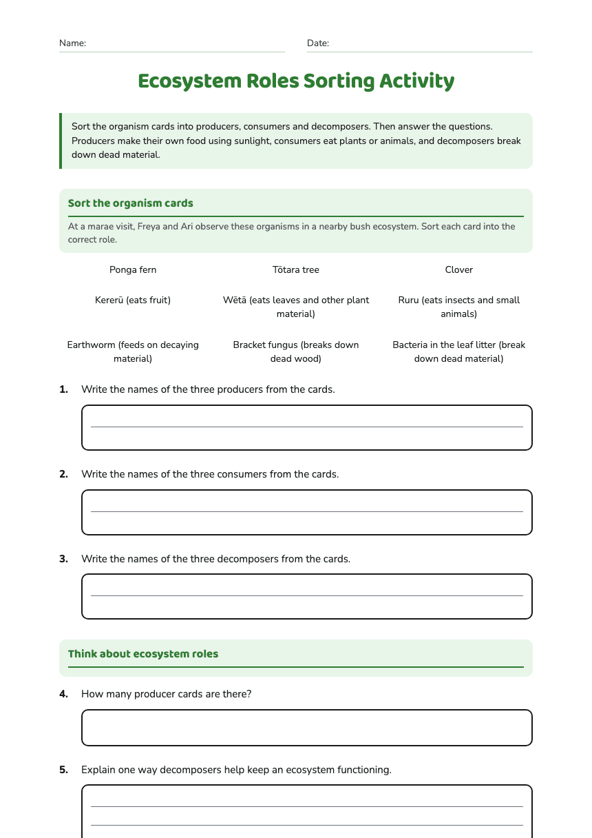 Ecosystem Roles Sorting Activity worksheet preview
