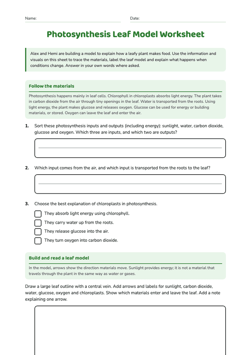Photosynthesis Leaf Model Worksheet