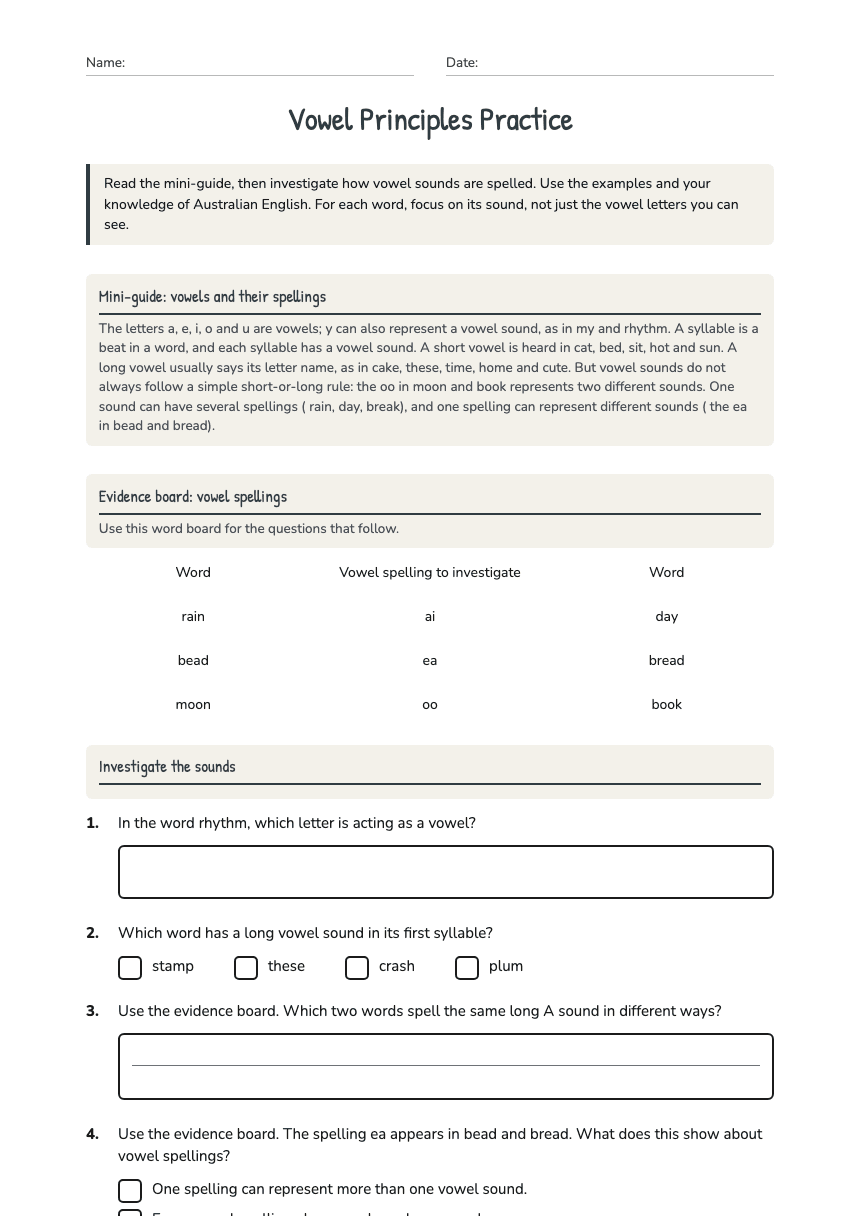 Vowel Principles Practice worksheet preview