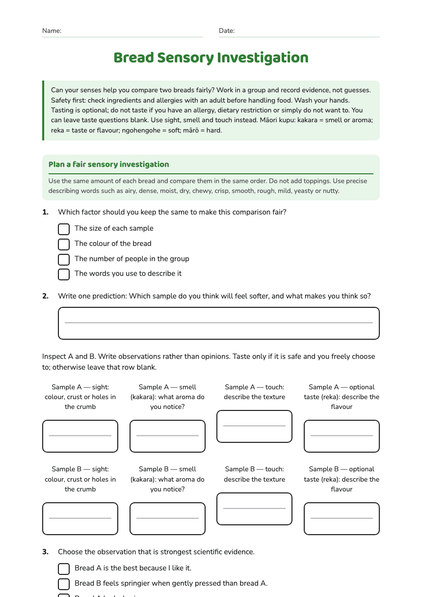 Bread Sensory Investigation worksheet preview