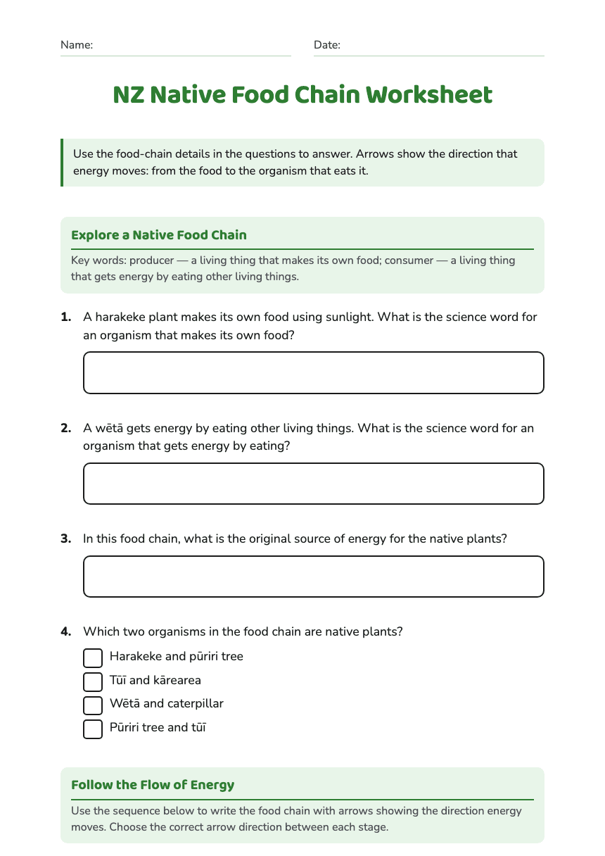 NZ Native Food Chain Worksheet worksheet preview