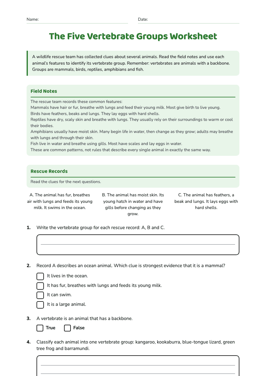 The Five Vertebrate Groups Worksheet worksheet preview