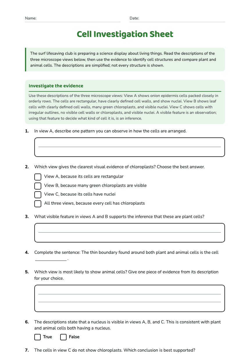Cell Investigation Sheet worksheet preview