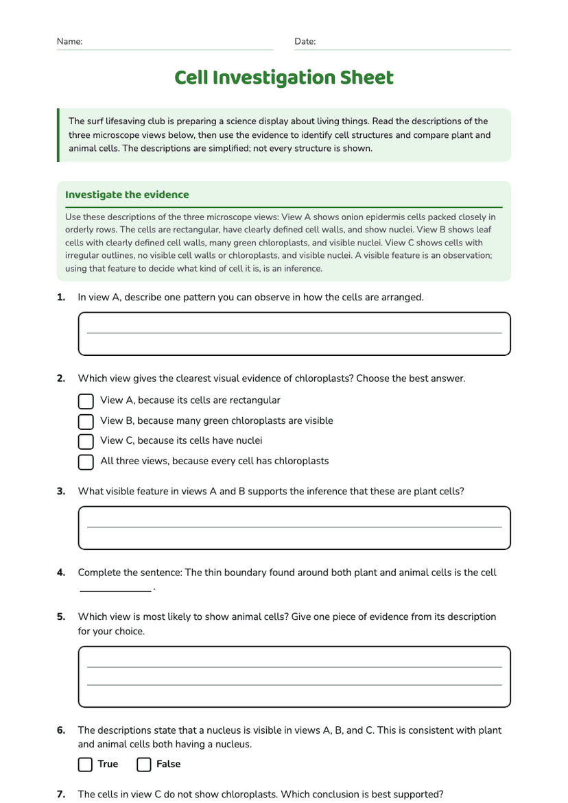 Cell Investigation Sheet