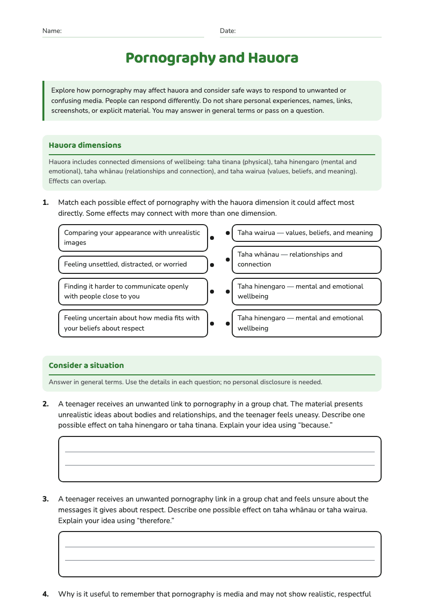 Pornography and Hauora worksheet preview