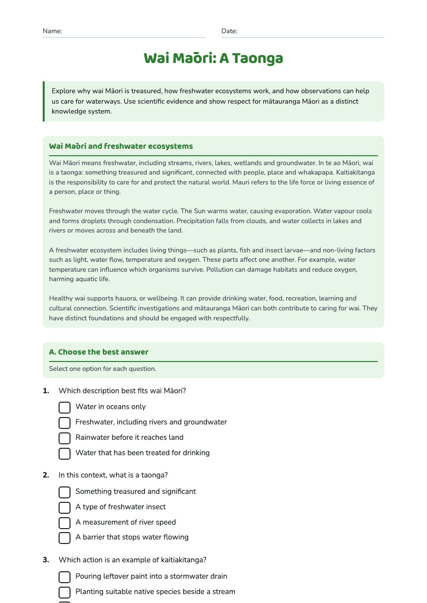 Wai Māori: A Taonga worksheet preview