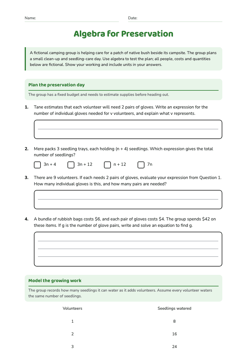 Algebra for Preservation worksheet preview
