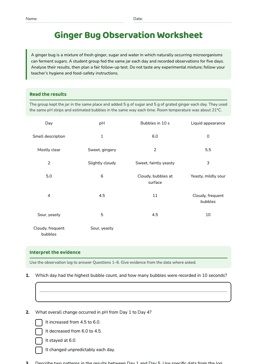 Ginger Bug Observation Worksheet worksheet preview