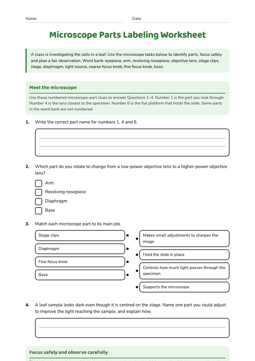 Microscope Parts Labeling Worksheet worksheet preview