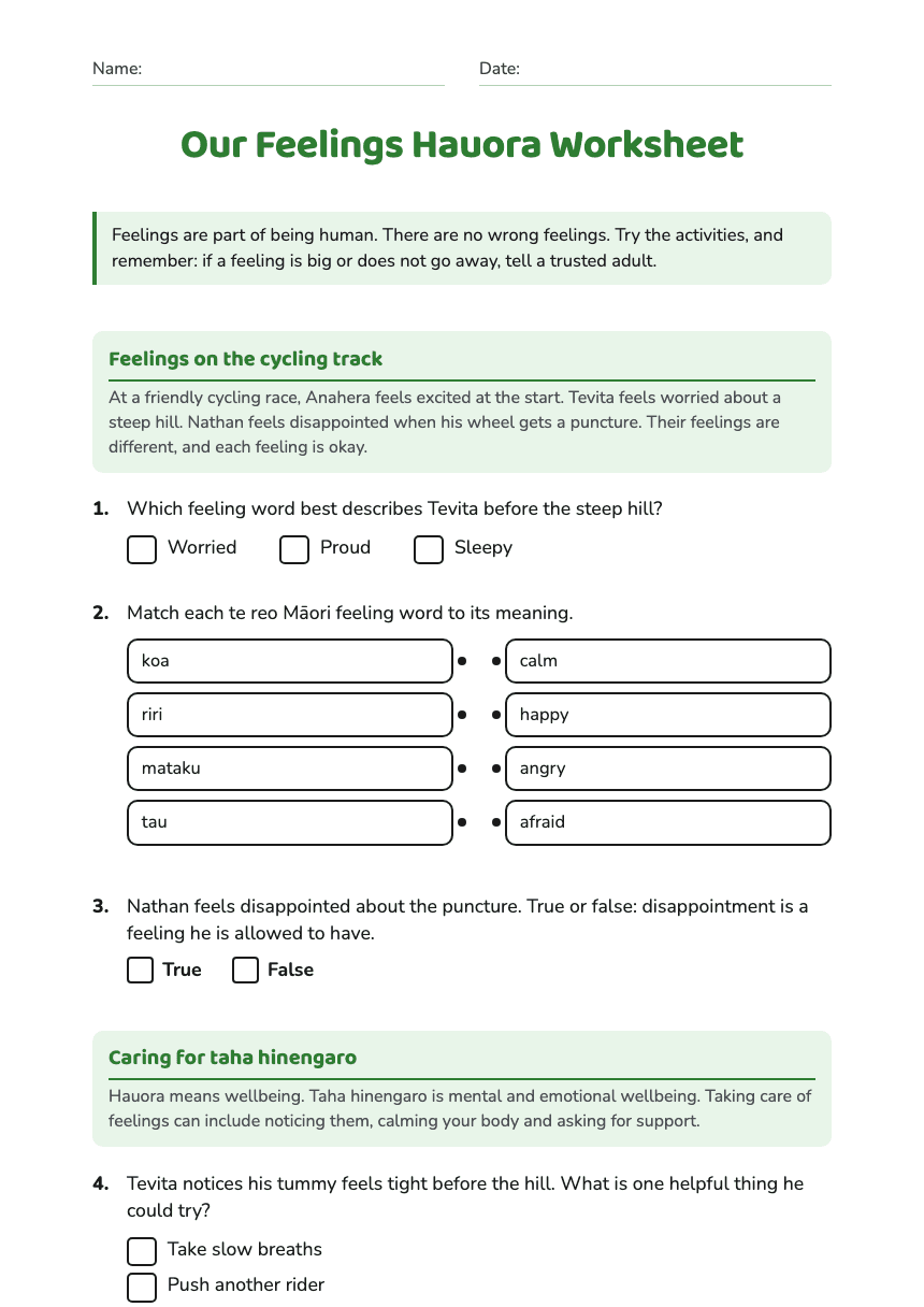 Our Feelings Hauora Worksheet worksheet preview