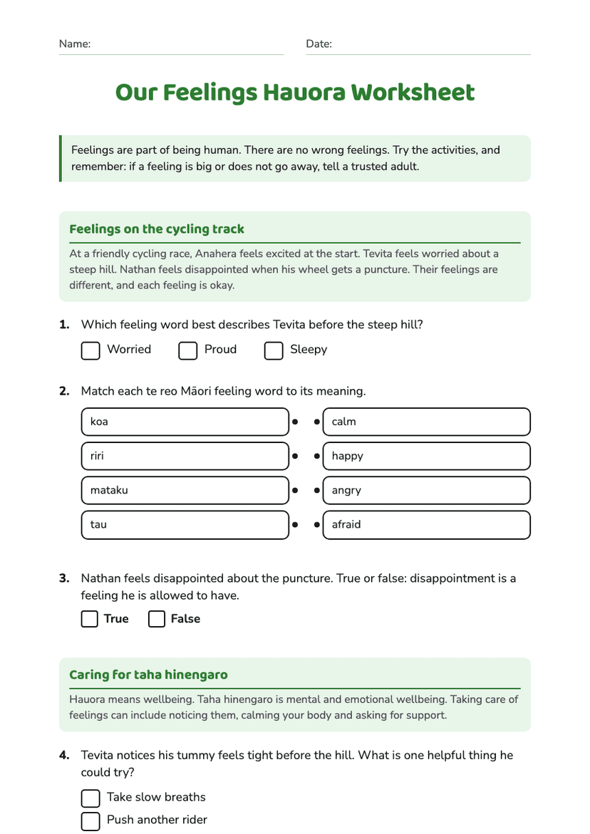 Our Feelings Hauora Worksheet