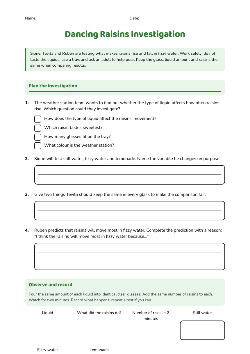 Dancing Raisins Investigation worksheet preview