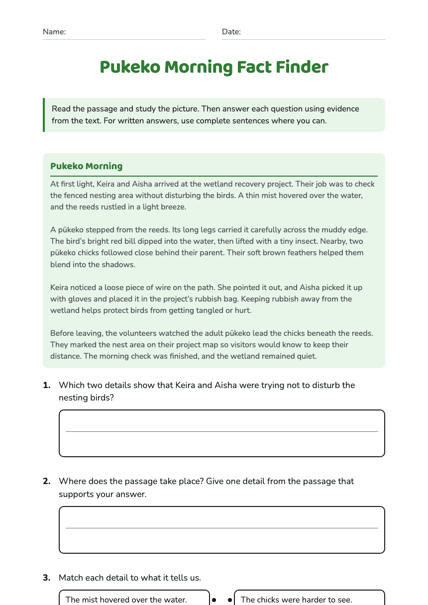 Pukeko Morning Fact Finder worksheet preview