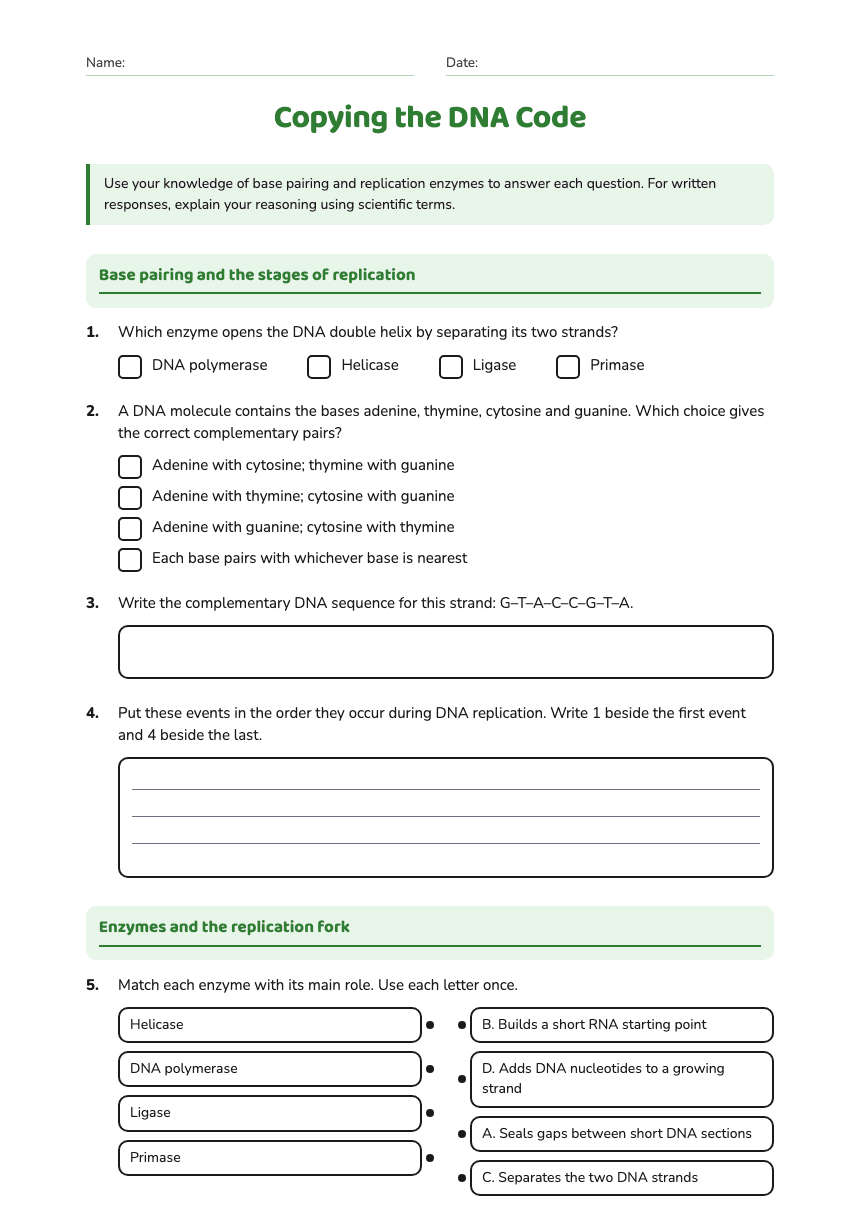 Copying the DNA Code worksheet preview