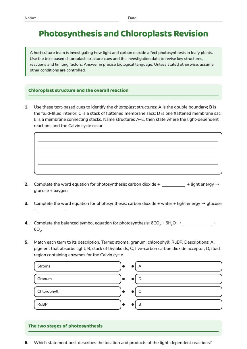 Photosynthesis and Chloroplasts Revision worksheet preview