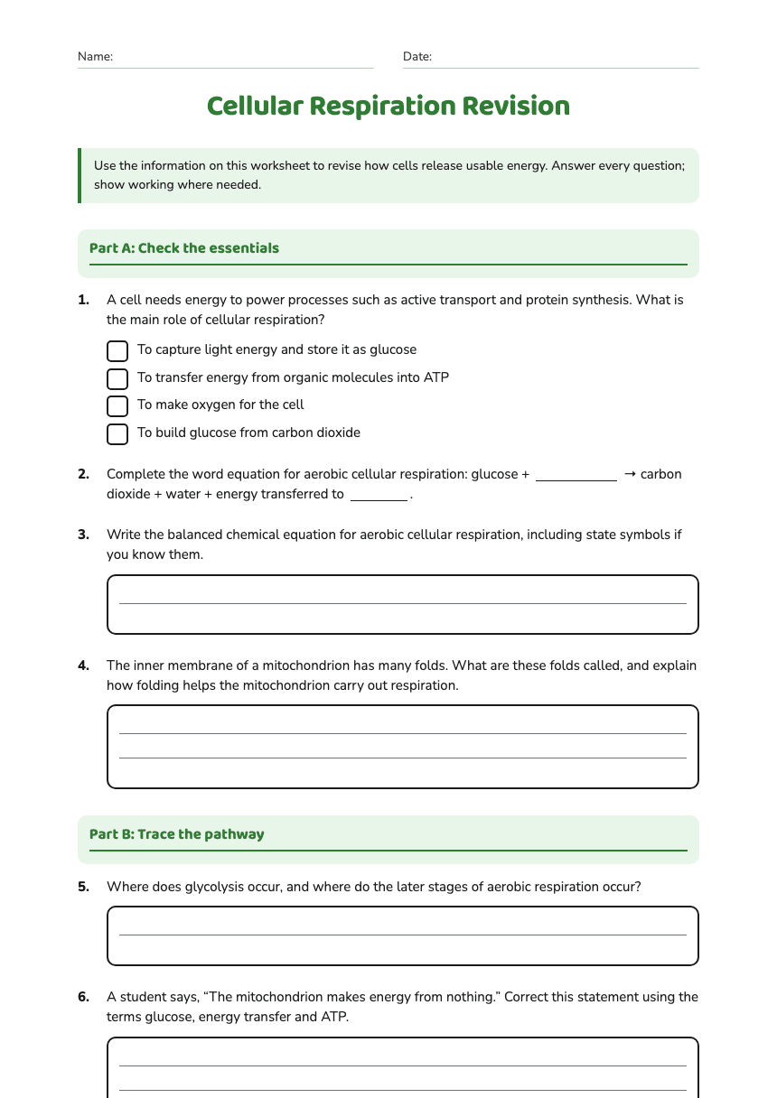 Cellular Respiration Revision worksheet preview