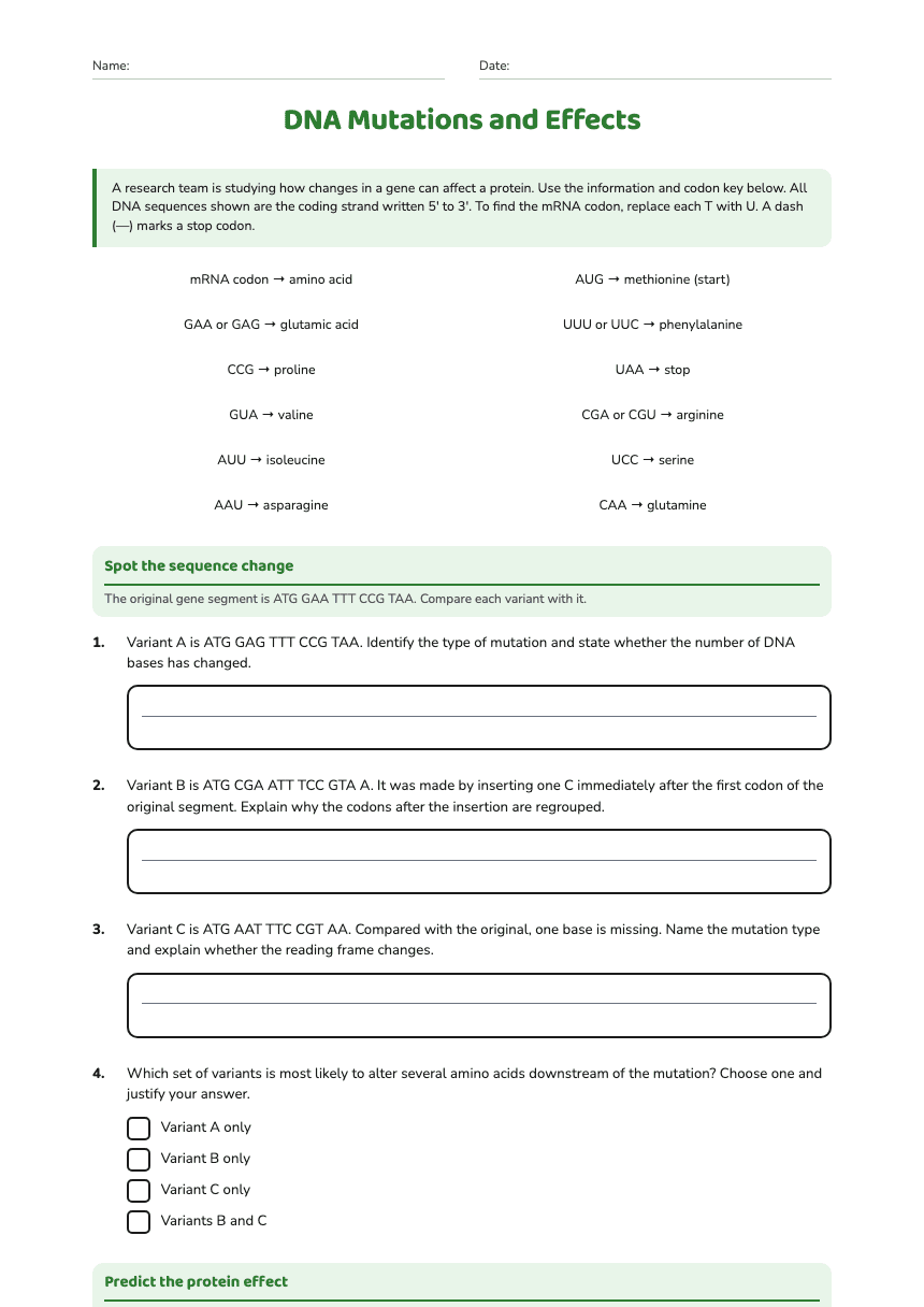 DNA Mutations and Effects worksheet preview